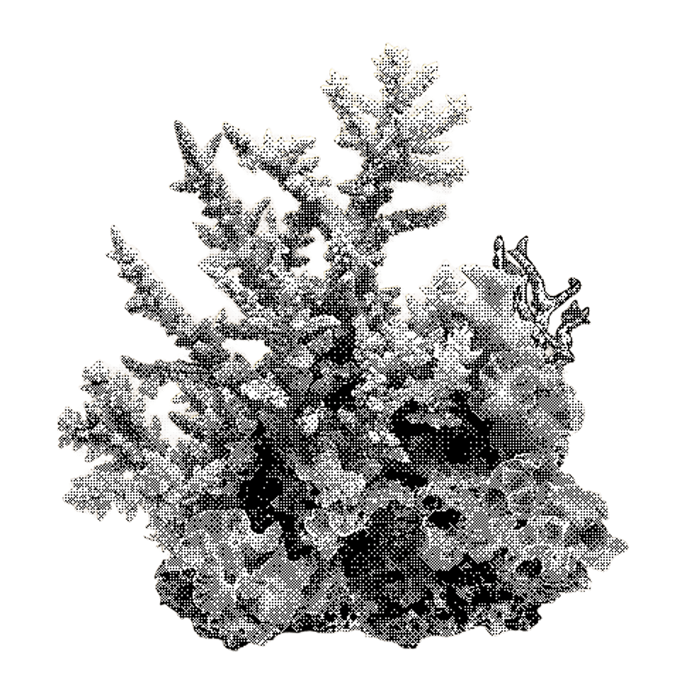 Invoice Filter Interface